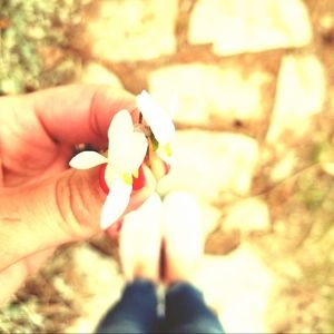 Meet your Posher, Laurellyn